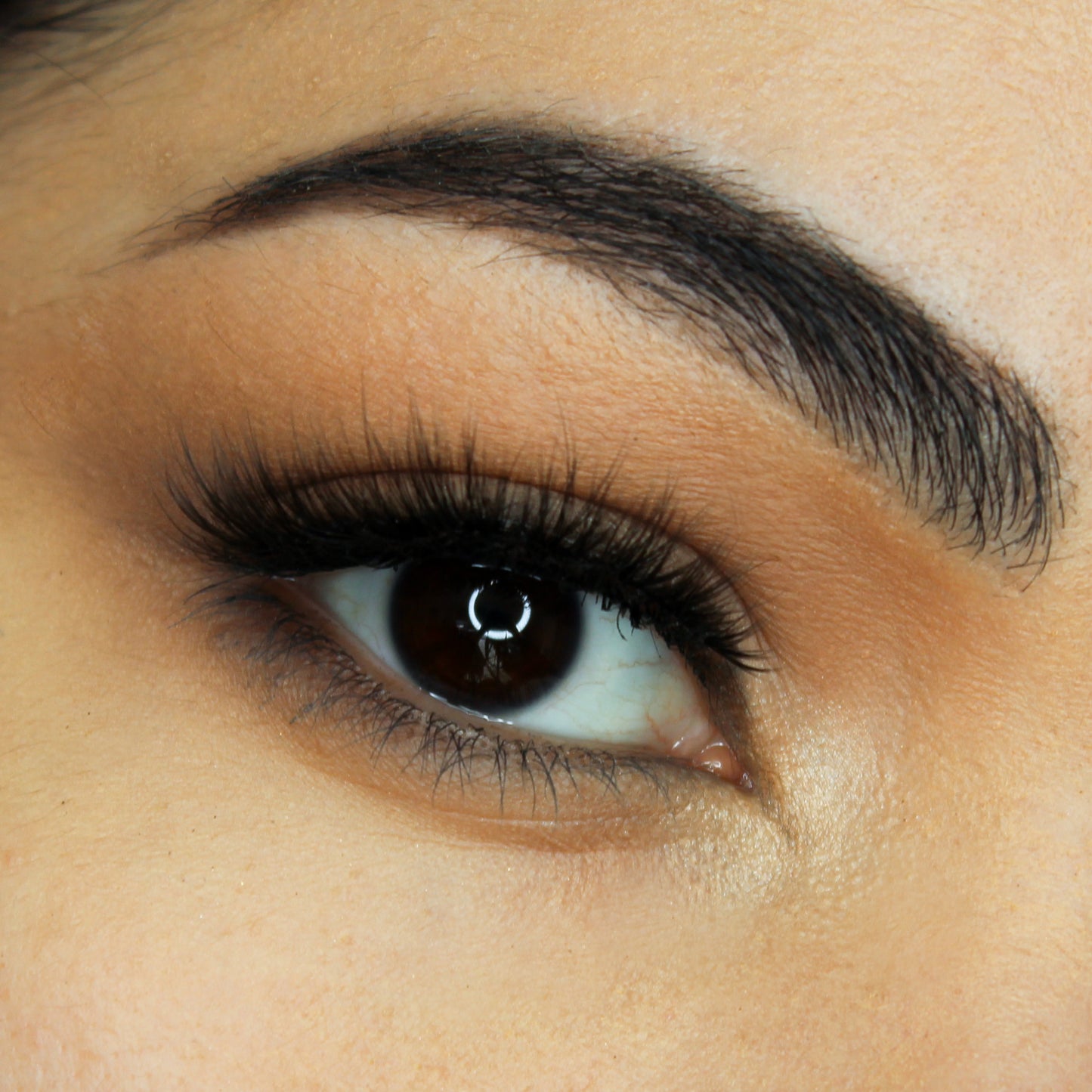 Cruelty free false eyelash | Brilliant Lash | Ela Cosmetics