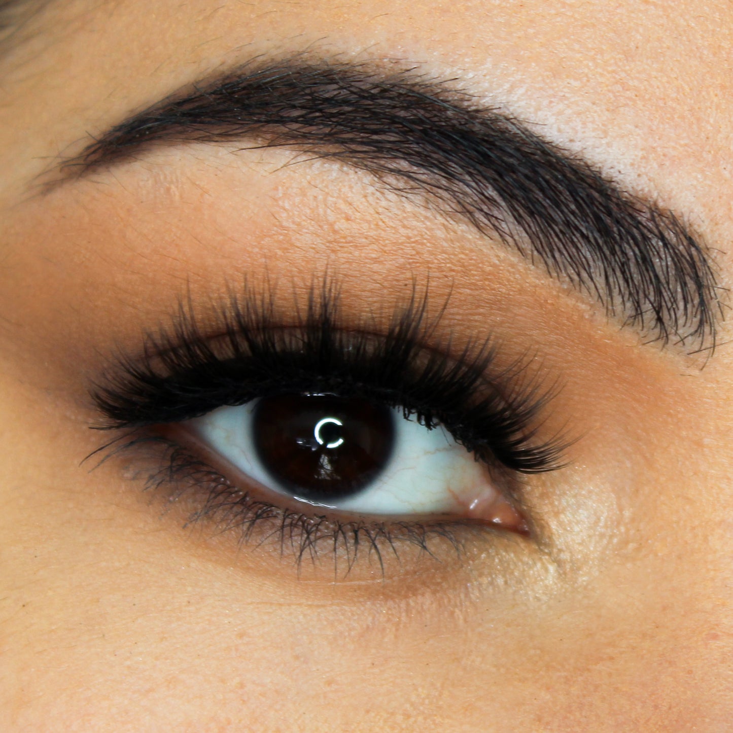 Confident False Eyelash | Ela Cosmetics