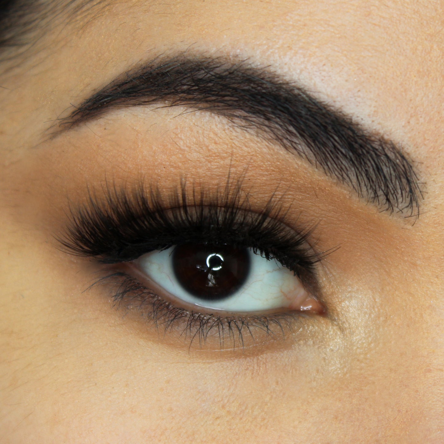 Dazzling False Eyelash | Ela Cosmetics